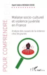 Malaise socio-culturel et violence juvénile en France