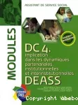 DC4 : Implication dans les dynamiques partenariales, institutionnelles et interinstitutionnelles, DEASS.